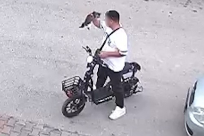 YER BOLU: YAVRU KEDİYİ ÖNCE ÖPTÜ, SONRA BOĞARAK ÖLDÜRDÜ