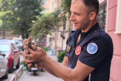 BURSA'DA YAĞMUR SUYU GİDERİNE SIKIŞAN KEDİYİ İTFAİYE KURTARDI