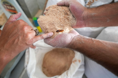 BÖCEKLİ VE KÜFLÜ UNU YEDİRECEKLERDİ: SKANDAL DENETİMLE ORTAYA ÇIKTI