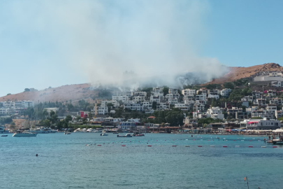 BODRUM'DA MAKİLİK YANGINI: VATANDAŞLAR SEFERBER OLDU