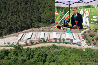 GEMLİK BELEDİYESİ HAYVAN BAKIMEVİ'NDEN KÖTÜ KOKULAR GELİYOR