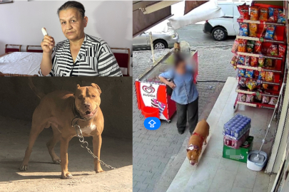 İZMİR'DE PİTBULL DEHŞETİ: KADININ İŞARET PARMAĞI KOPTU