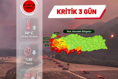 ORMAN YANGINI RİSKİ ARTIYOR! 28-30 AĞUSTOS'A DİKKAT