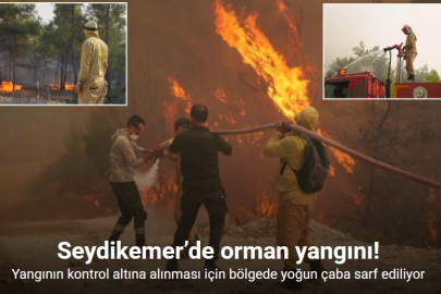 ŞİDDETLİ RÜZGAR YANGINI KONTROLÜ ZORLAŞTIRIYOR