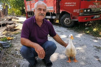 TORUNLARIN HEVESİ GEÇTİ, DEDENİN EN YAKIN DOSTU OLDU