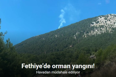 FETHİYE’DE ORMAN YANGINI: EKİPLER SEFERBER OLDU