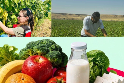 MEYVE, SEBZELERDEKİ TARIM İLACI KALINTISINI ÖĞRENMEK MÜMKÜN