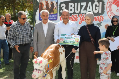 BUZAĞI GÜZELLİK YARIŞMASI'NDA ÖDÜLLER SAHİPLERİNİ BULDU