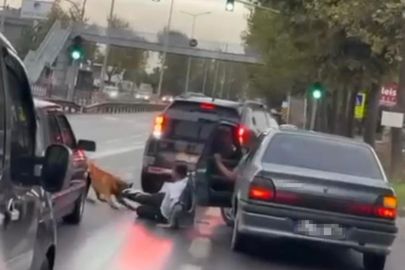 İPİNİ KOPARAN KÖPEK VATANDAŞI ISIRIP YERDE SÜRÜKLEDİ