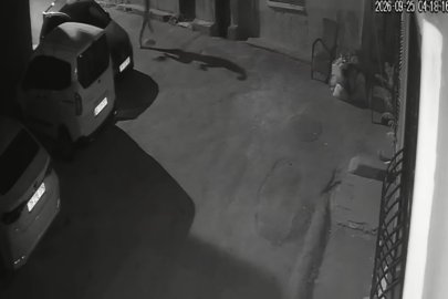 İZMİR'DE KÖPEĞİ TEKMELEYİP SÜRÜKLEYEN ŞAHIS GÖZALTINA ALINDI