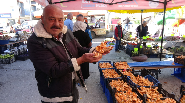 Kanlıca mantarı