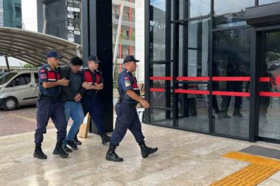 KUŞLARA YÖNELİK VAHŞETİN ŞÜPHELİSİ TUTUKLANDI