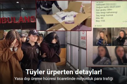 YASA DIŞI ÜREME HÜCRESİ TİCARETİNDE MİLYONLUK PARA TRAFİĞİ