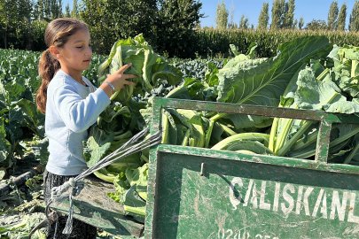9 YAŞINDAKİ MEDİNE'NİN ELİ TARLADA AKLI İSE GELECEĞİNDE