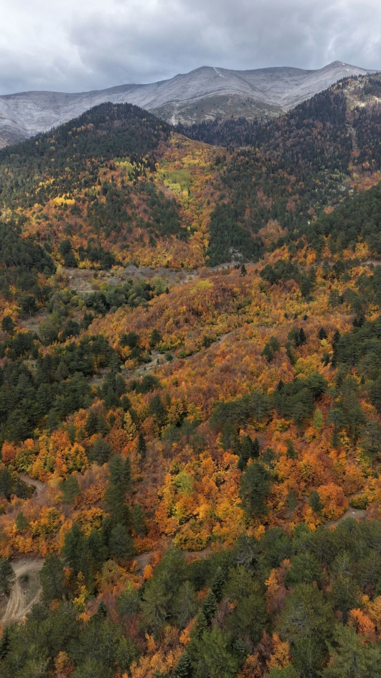 ULUDAĞ'IN ELLİ TONU...