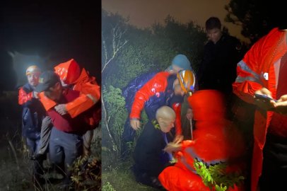 BİRİ 83, DİĞERİ 79 YAŞINDA: MANTAR TOPLARKEN KAYBOLDULAR