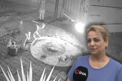 BURSA'DA MÜLK SAHİBİ KİRACISINA ETMEDİĞİNİ BIRAKMADI