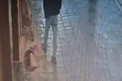 UYUYAN KÖPEĞE TEKME ATTI: AMBULANSLA HASTANEYE KALDIRILDI