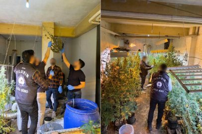 BURSA'DA MAHALLE KASABININ ALT KATI KENEVİR TARLASI ÇIKTI
